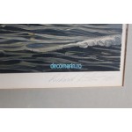 Litografie Le passage du Cap Horn 